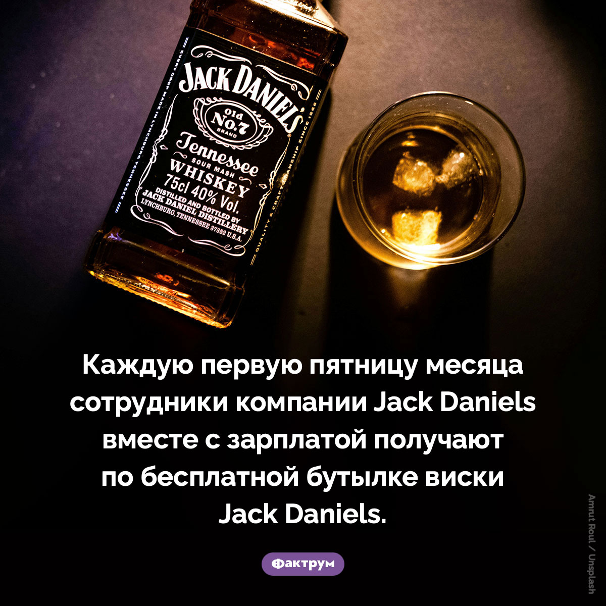 Бесплатная бутылка виски Jack Daniels - свежие новости на Toplenta по теме Факт