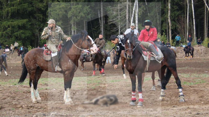 Дикие игры... Странные развлечения мигрантов в Подмосковье и стратегический порт в Туапсе - свежие новости на Toplenta по теме Царь
