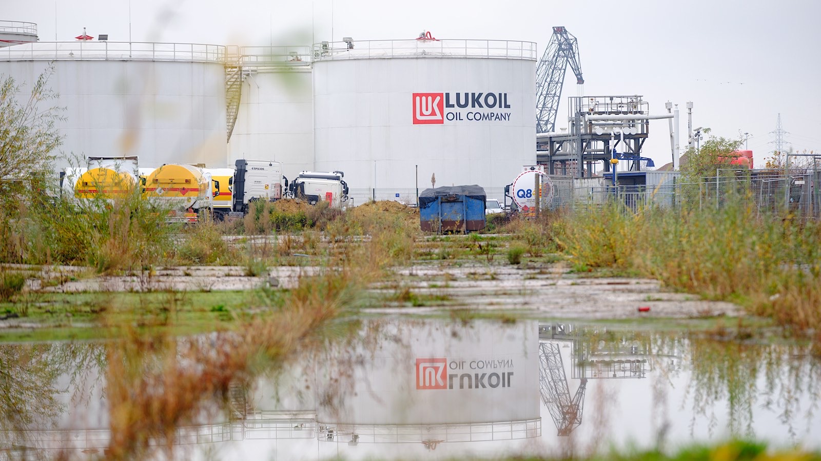 Как своих ушей: «Лукойл» не сможет получить деньги за свои зарубежные активы - свежие новости на Toplenta по теме и