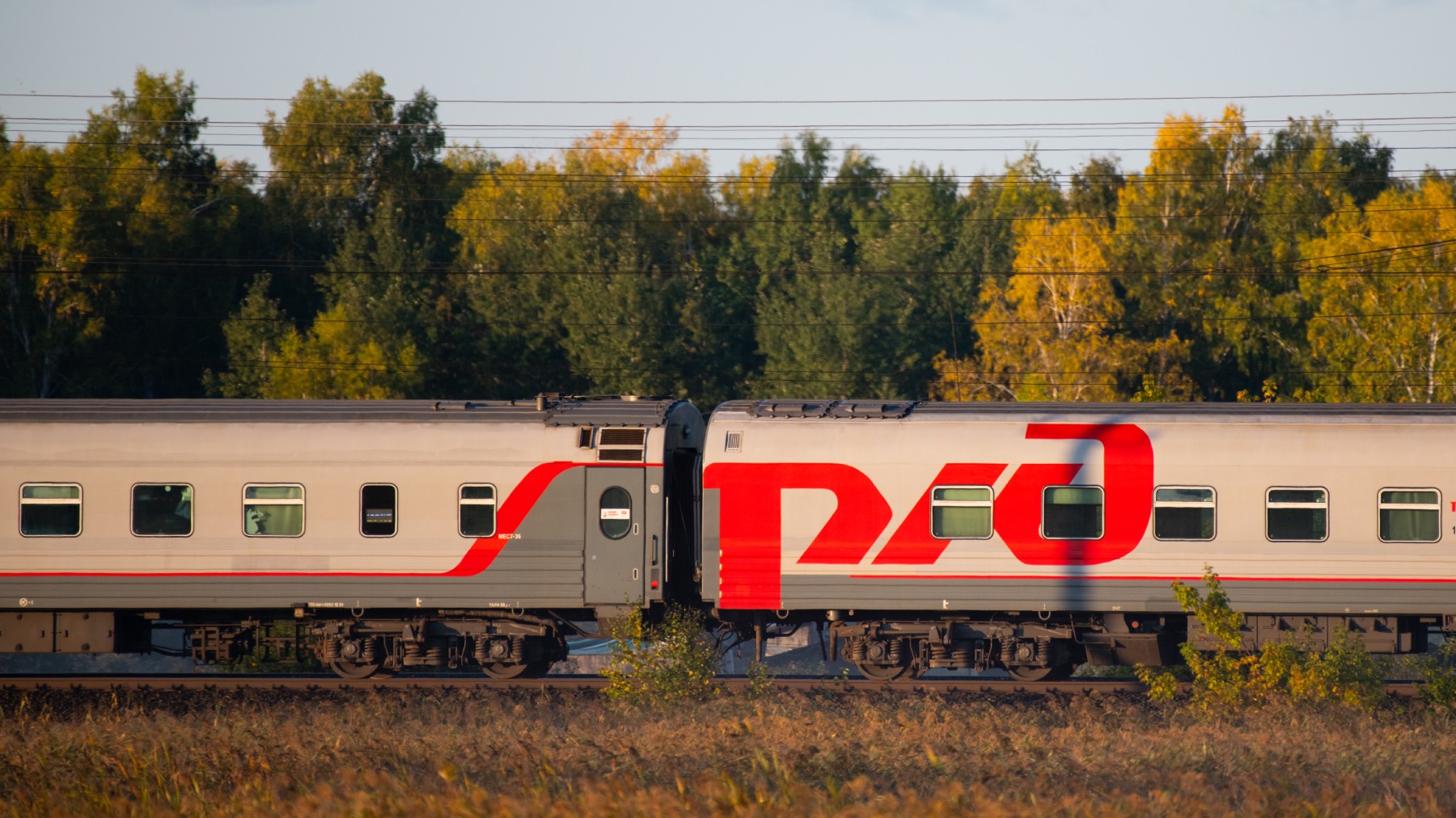 РЖД стали компанией с наибольшим приростом инвестиций - свежие новости на Toplenta по теме Малый бизнес