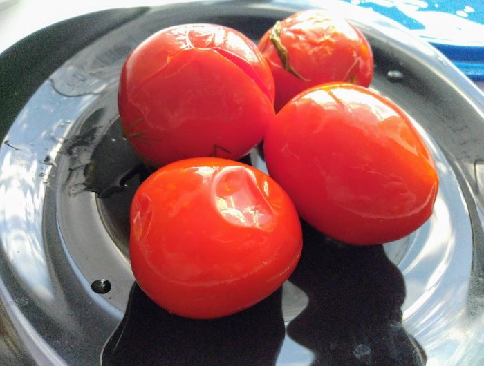 Рецепт быстрого приготовления необычных квашеных помидоров - свежие новости на Toplenta по теме Салаты
