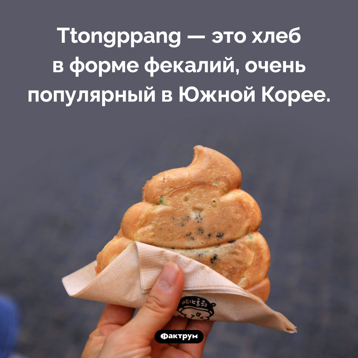 Хлеб в форме фекалий - свежие новости на Toplenta по теме корея