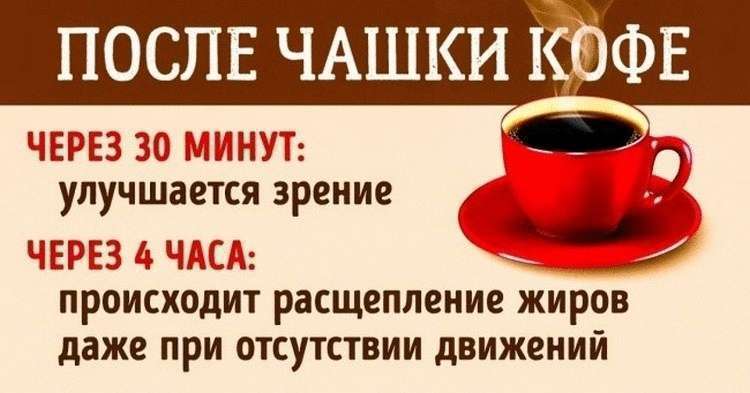 Действие кофеина: что происходит с организмом после чашки кофе - свежие новости на Toplenta по теме Здоров