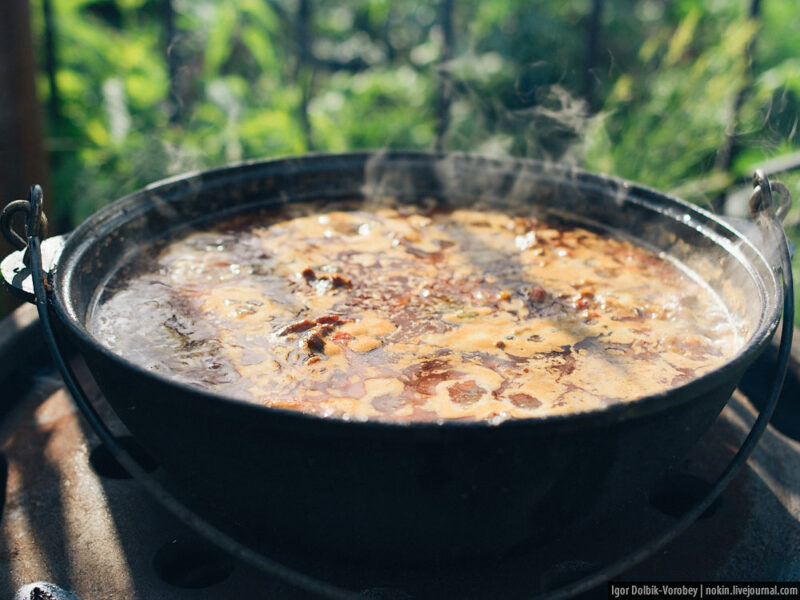 Альтернатива шашлыкам: готовим на костре - свежие новости на Toplenta по теме город тюмень