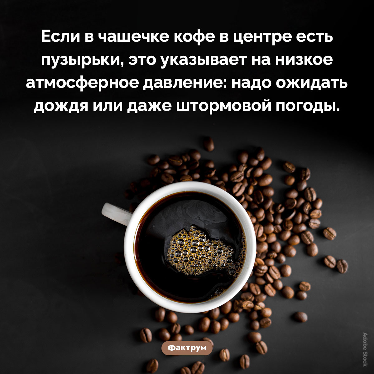 Как узнать прогноз погоды по кофе - похожая новость на Toplenta