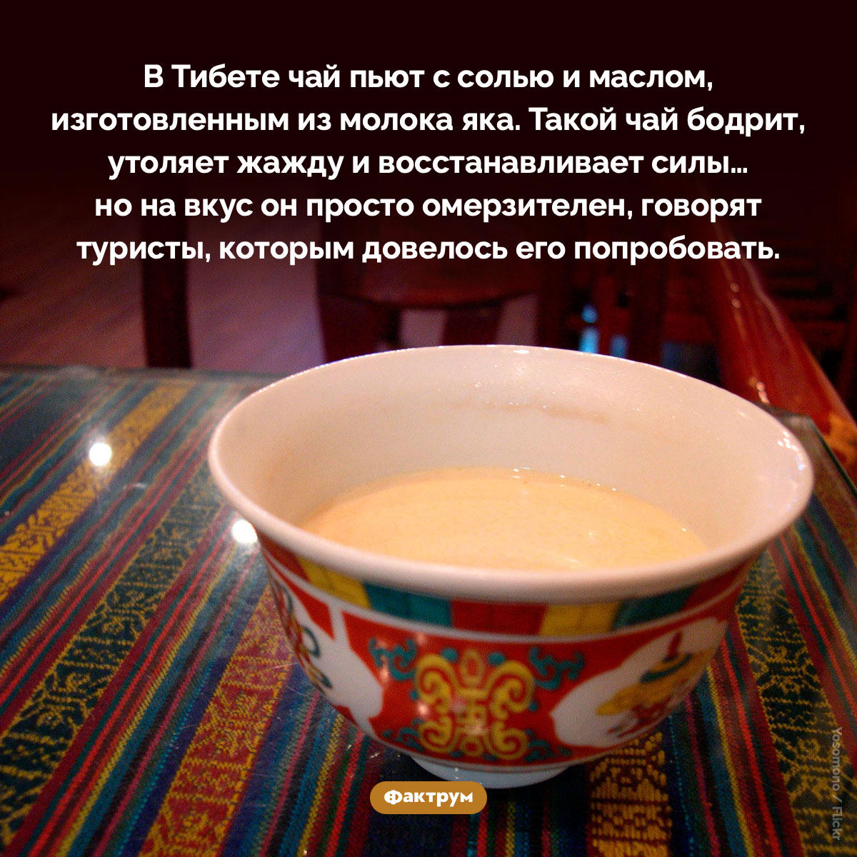 В Тибете чай пьют с солью и маслом, изготовленным из молока яка - свежие новости на Toplenta по теме апи