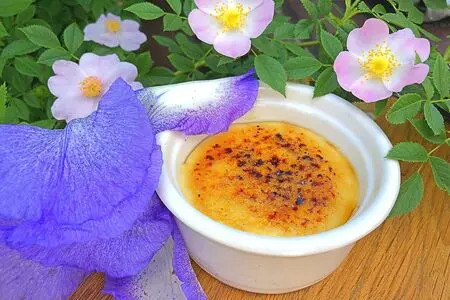 Рецепт вкусного каталонского крема - свежие новости на Toplenta по теме Прав