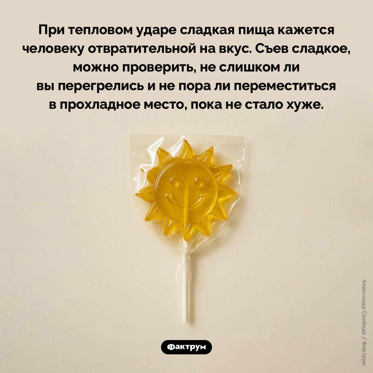 Сладкая пища и тепловой удар - свежие новости на Toplenta по теме сладости