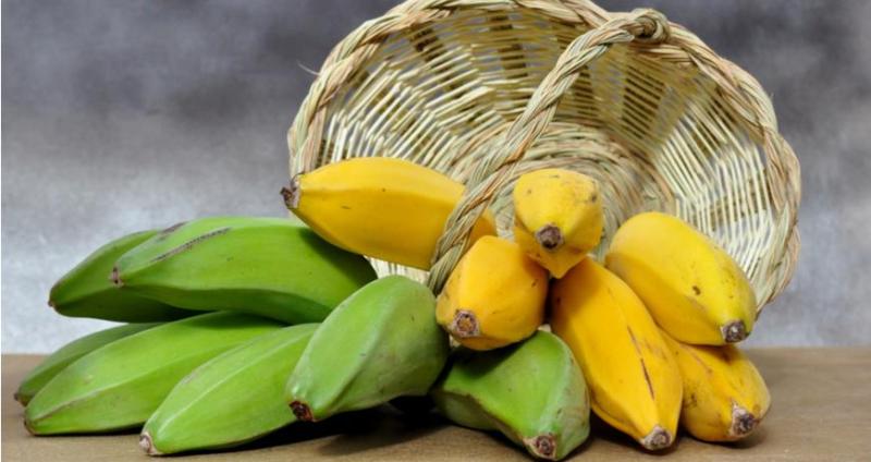 Почему сорванные неспелыми фрукты дозревают - свежие новости на Toplenta по теме Фрукт