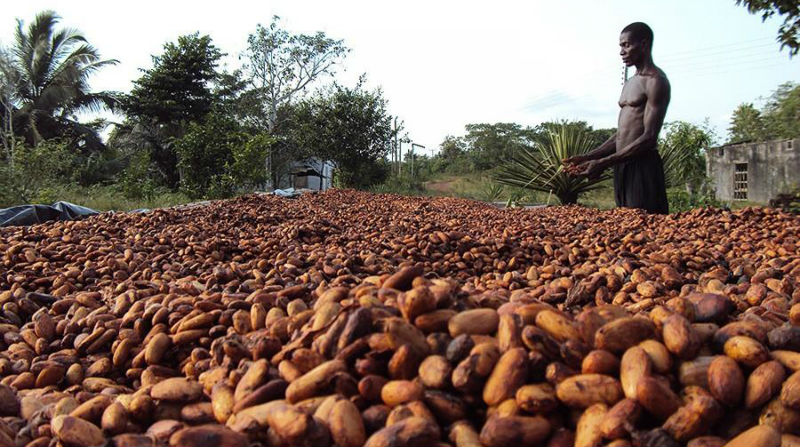 25 «сладких» фактов о шоколаде - свежие новости на Toplenta по теме вкус