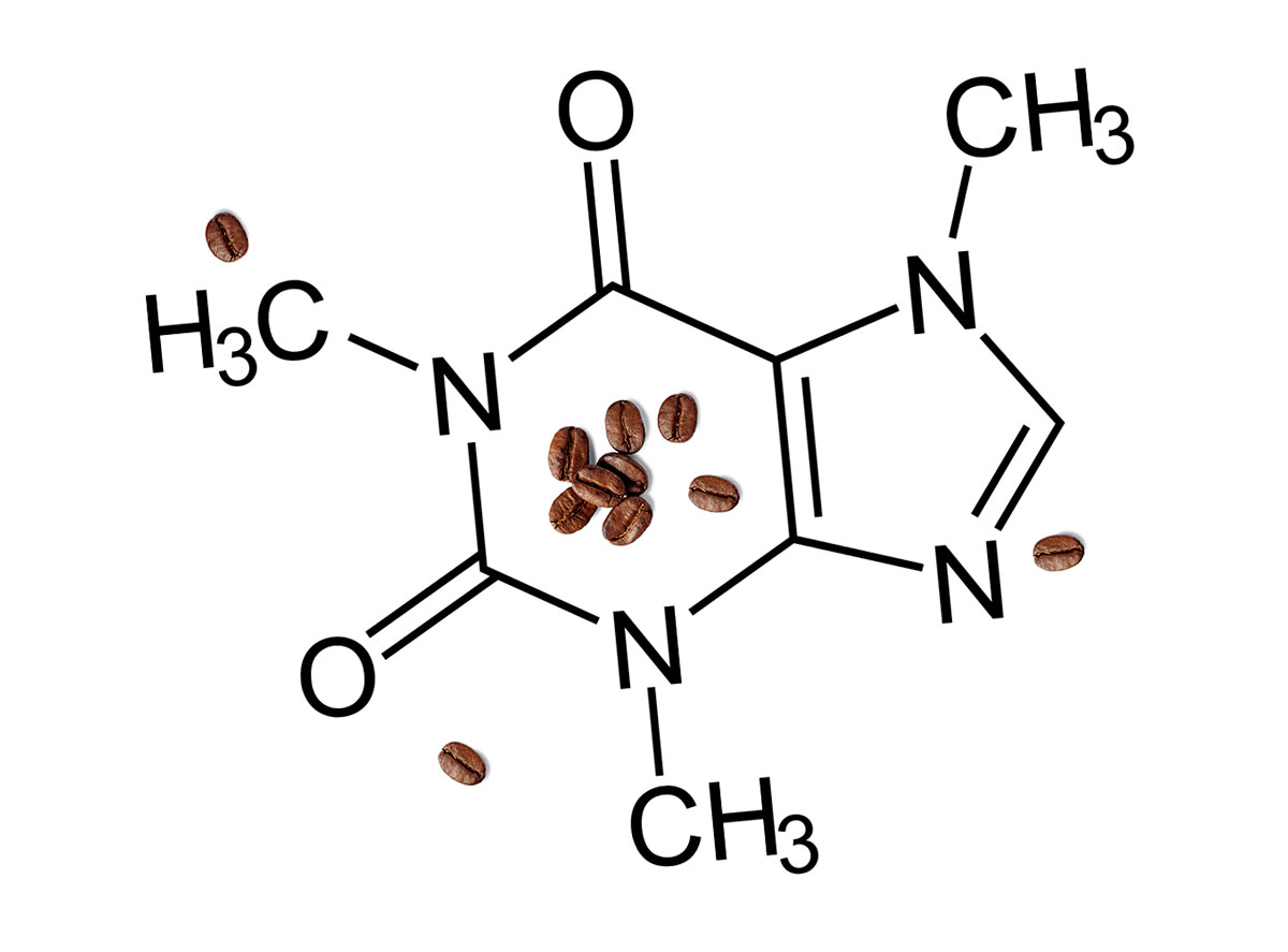 Как действует кофеин - свежие новости на Toplenta по теме Чел