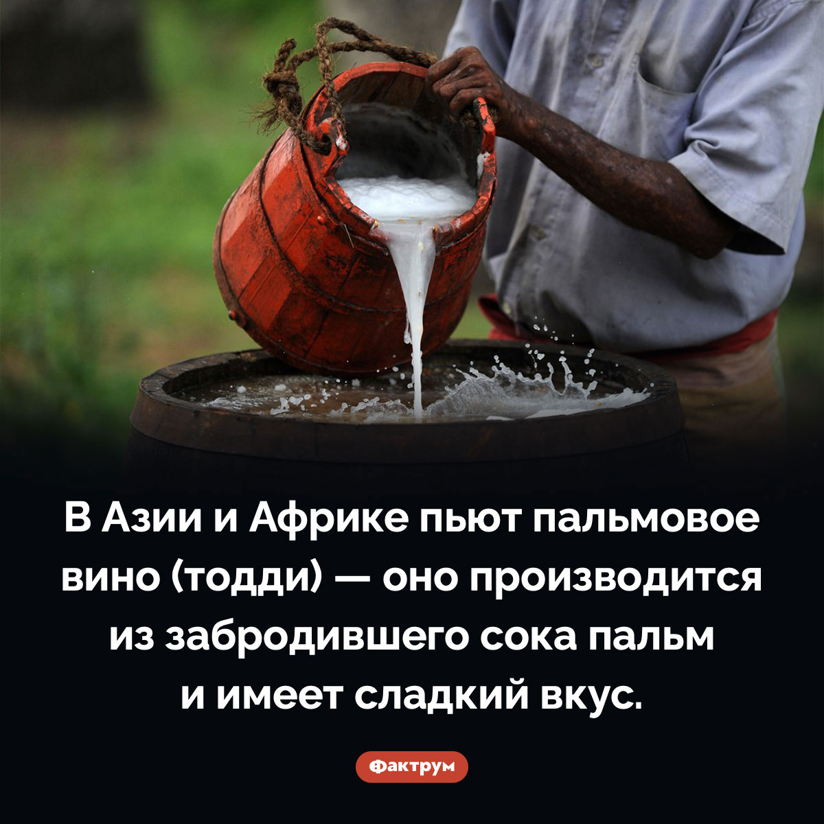 Какое вино популярно в Азии и Африке - свежие новости на Toplenta по теме 29.10.2022