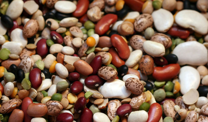 Еда, которая может спасти жизнь - свежие новости на Toplenta по теме РАН