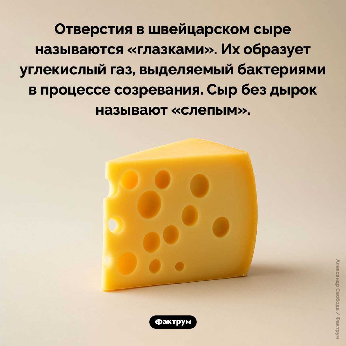 Как называются отверстия в швейцарском сыре - похожая новость на Toplenta