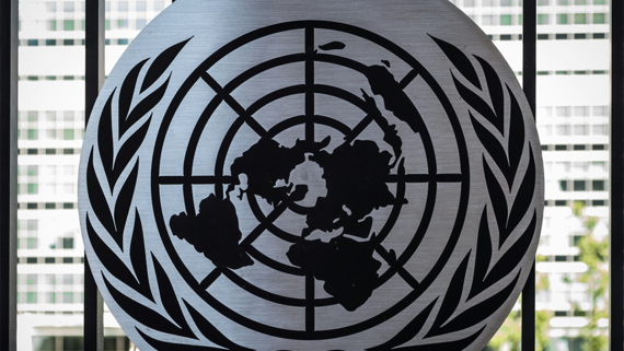 Заседание СБ ООН по урегулированию кризиса на Украине состоится 20 ноября - свежие новости на Toplenta