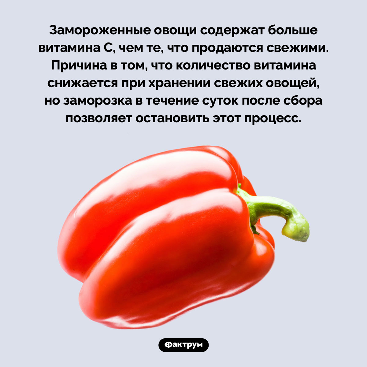 Потеря витамина C в овощах при хранении - свежие новости на Toplenta по теме ранение