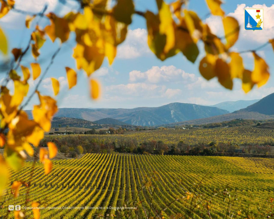 Севастопольские вина завоевали  золото, серебро и бронзу в China Wine Competition - свежие новости на Toplenta по теме АГР