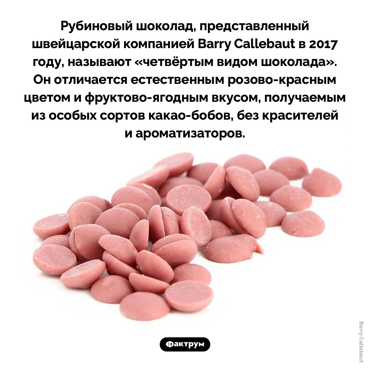 Четвертый вид шоколада - свежие новости на Toplenta по теме швейцария