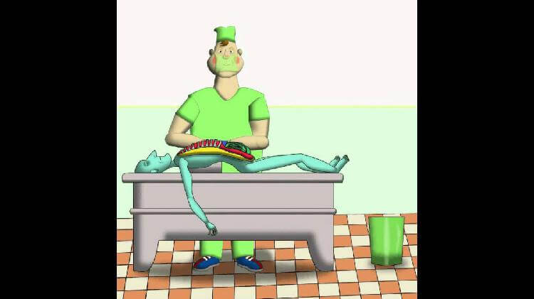 Самая веселая классификация врачей. Ничего смешнее в жизни не читала! - свежие новости на Toplenta