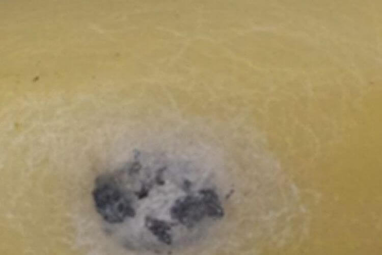 Увидите это на прилавке — не трогайте! Срочно расскажите продавцам и уходите - свежие новости на Toplenta по теме ии