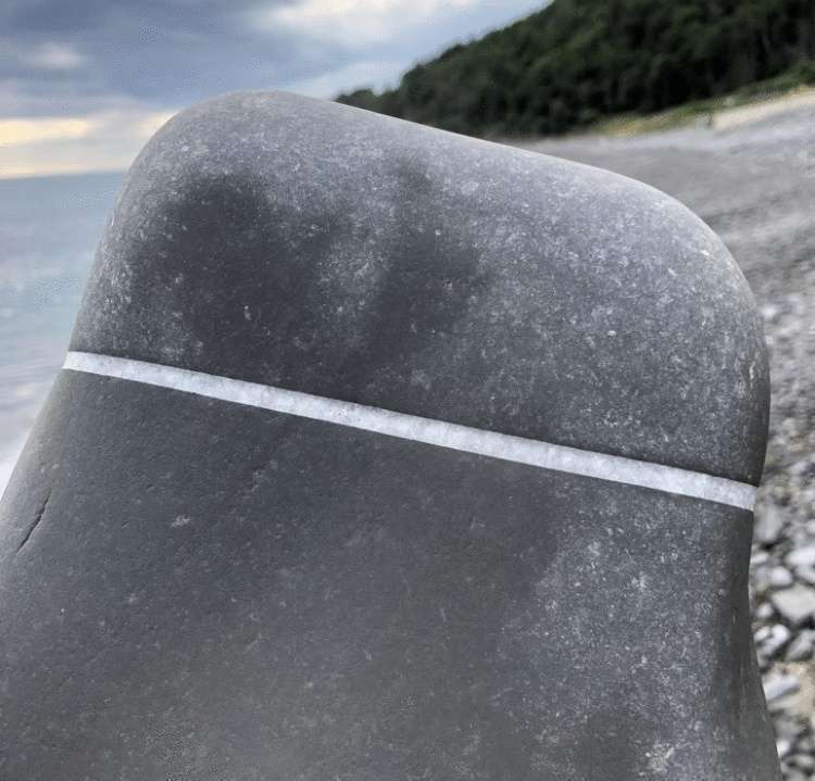 Несколько снимков, которые доказывают, какой вокруг удивительный мир - свежие новости на Toplenta по теме истории из жизни