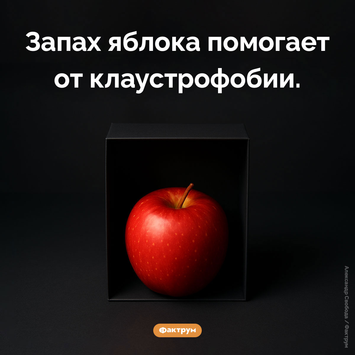 Какой запах помогает от клаустрофобии - свежие новости на Toplenta