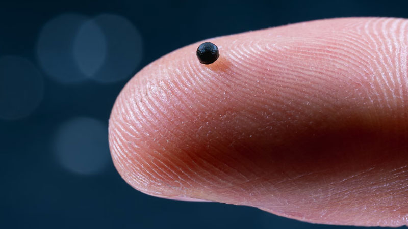 В Швейцарии создали крошечного робота-курьера для адресной доставки лекарств по венам - свежие новости на Toplenta по теме ло