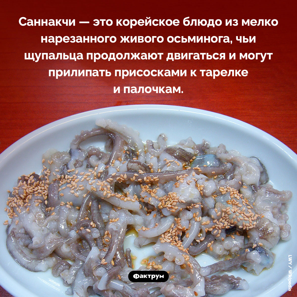 В Корее едят живых осьминогов. - свежие новости на Toplenta по теме Блюд