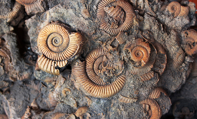 В вечной мерзлоте Канады нашли артефакт, который заставил усомниться в теории происхождения жизни на Земле - ИИ на Toplenta