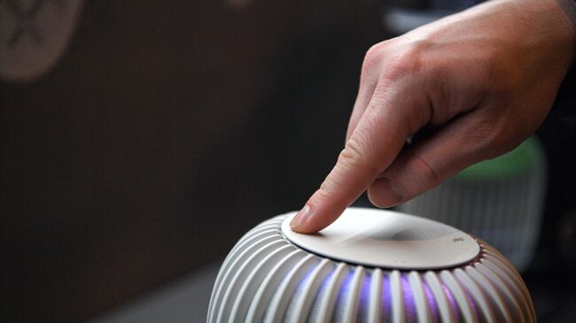 Роскачество рассказало, как сохранить приватность при использовании колонок - ИИ на Toplenta