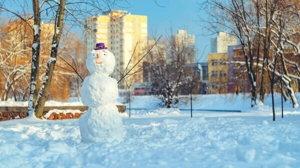 Синоптик Шувалов рассказал, когда можно будет лепить снеговиков в центральной России - похожая новость на Toplenta