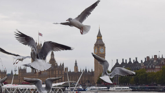 Daily Star: сотни жителей Британии хотят уехать в РФ по «визе общих ценностей» - свежие новости на Toplenta
