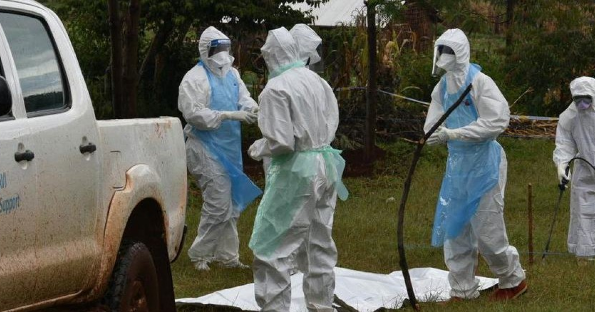 В Эфиопии зарегистрирована первая вспышка лихорадки Марбург - свежие новости на Toplenta