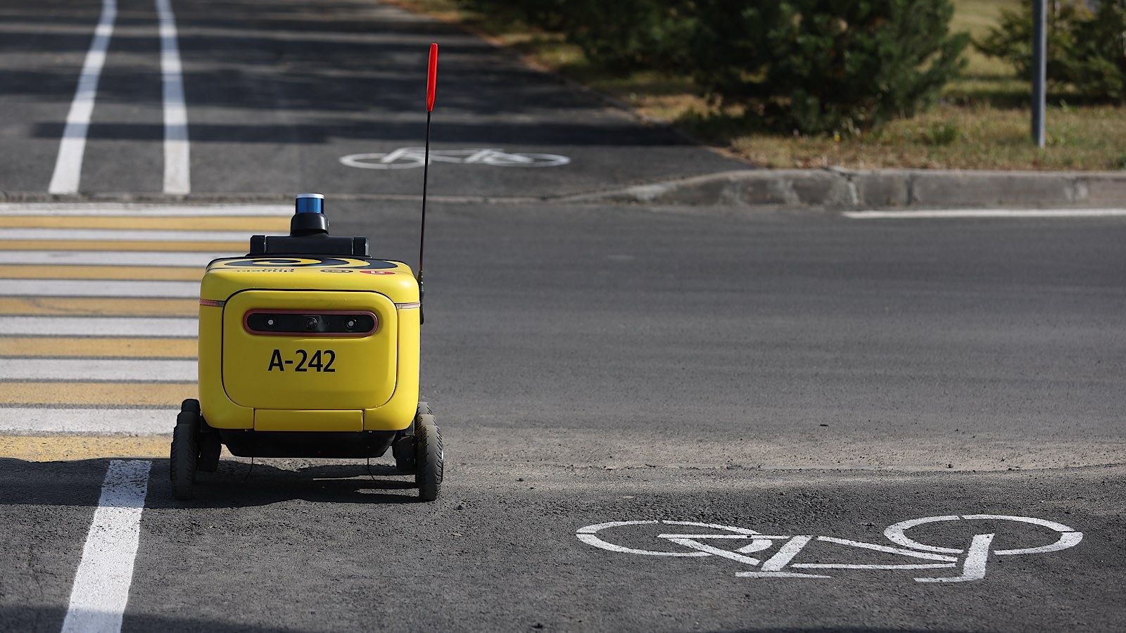Катализация капитализации: ИИ может удвоить рыночную оценку «Яндекса» - свежие новости на Toplenta по теме Строительные технологии