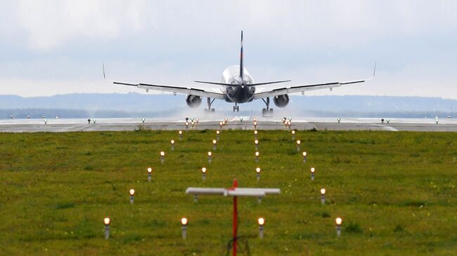 В Казани задержали жителя Чувашии, планировавшего стать террористом - ИИ на Toplenta
