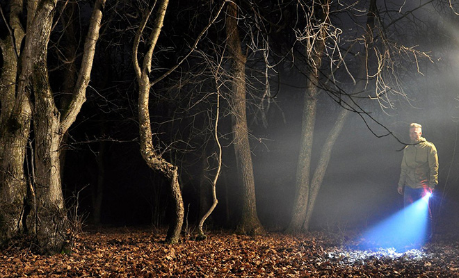 Бермудский треугольник Трансильвании: что скрывает Хойя-Бачу, самый неизученный лес Румынии - похожая новость на Toplenta