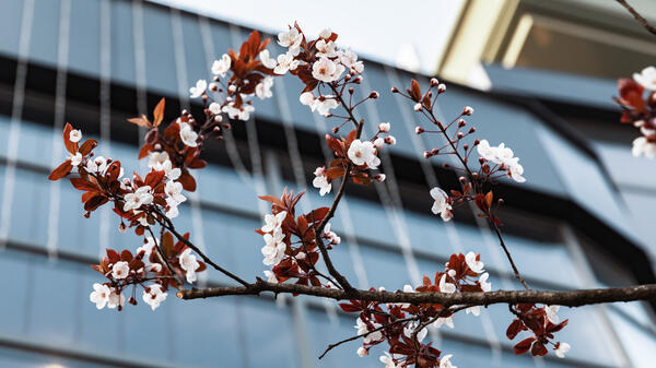 Запахло весной: синоптик предупредил о погодной аномалии в ноябре - свежие новости на Toplenta по теме Овец
