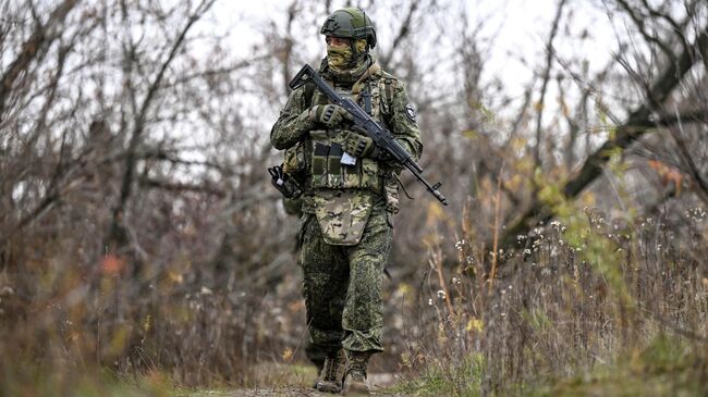 ВС России уничтожили до десяти антенн управления БПЛА ВСУ в зоне СВО - ИИ на Toplenta