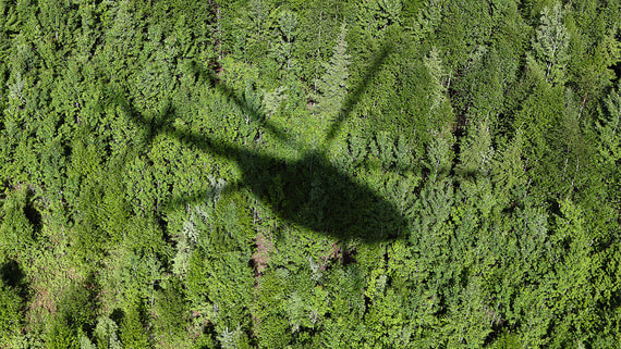 На границе Грузии и Азербайджана разбился вертолет - свежие новости на Toplenta