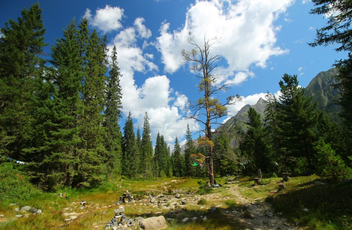 В Бурятии вышел фильм о путешествии к святым Шумакским источникам - свежие новости на Toplenta по теме да