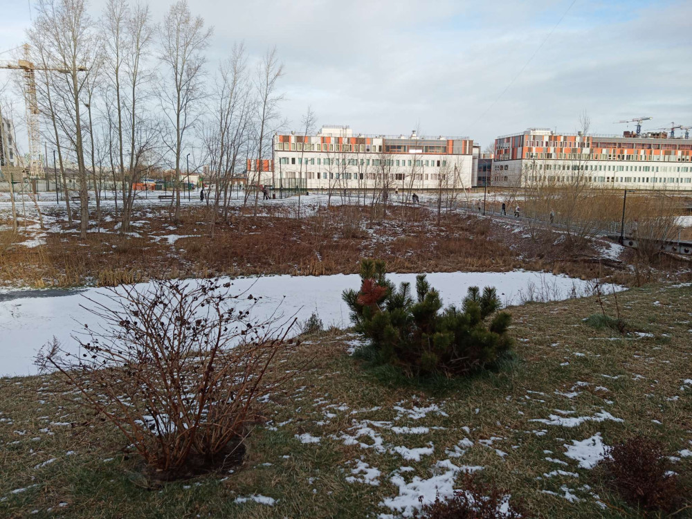 Утром после снегопада около озера близ станции Енисей - свежие новости на Toplenta по теме истории из жизни