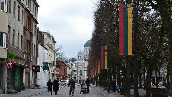 В Литве призвали продолжать финансировать Украину вопреки коррупции - свежие новости на Toplenta