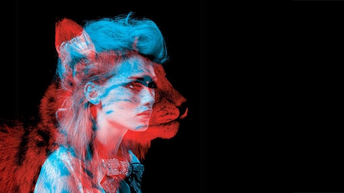 «Природа зверя»: как включить у мухи агрессию и при чем тут человеческие эмоции - свежие новости на Toplenta по теме Orb