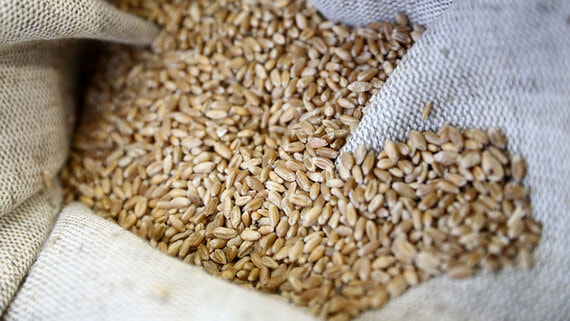 СВР: Армения собирается «отвязаться» от России и оказать помощь Украине - ИИ на Toplenta