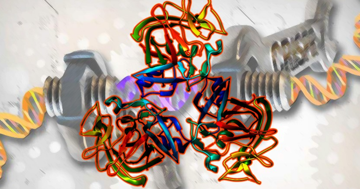 CRISPR-терапия неконтролируемой дислипидемии прошла первую фазу испытаний - свежие новости на Toplenta по теме уровень