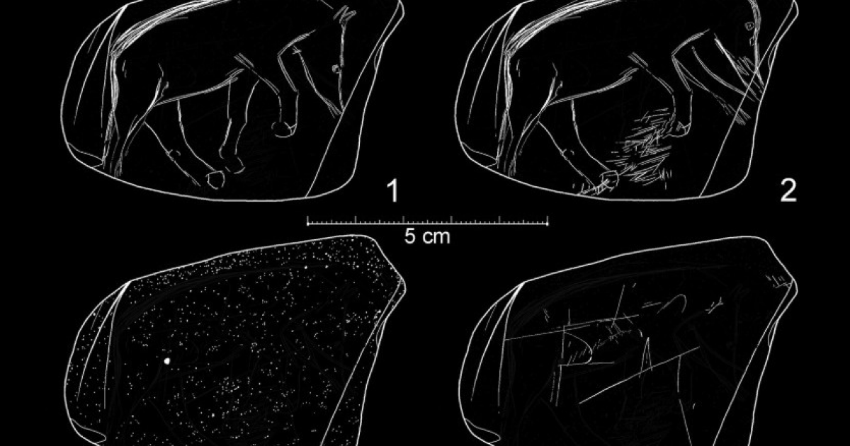 В Чехии нашли гальку с выгравированными в верхнем палеолите животными - свежие новости на Toplenta