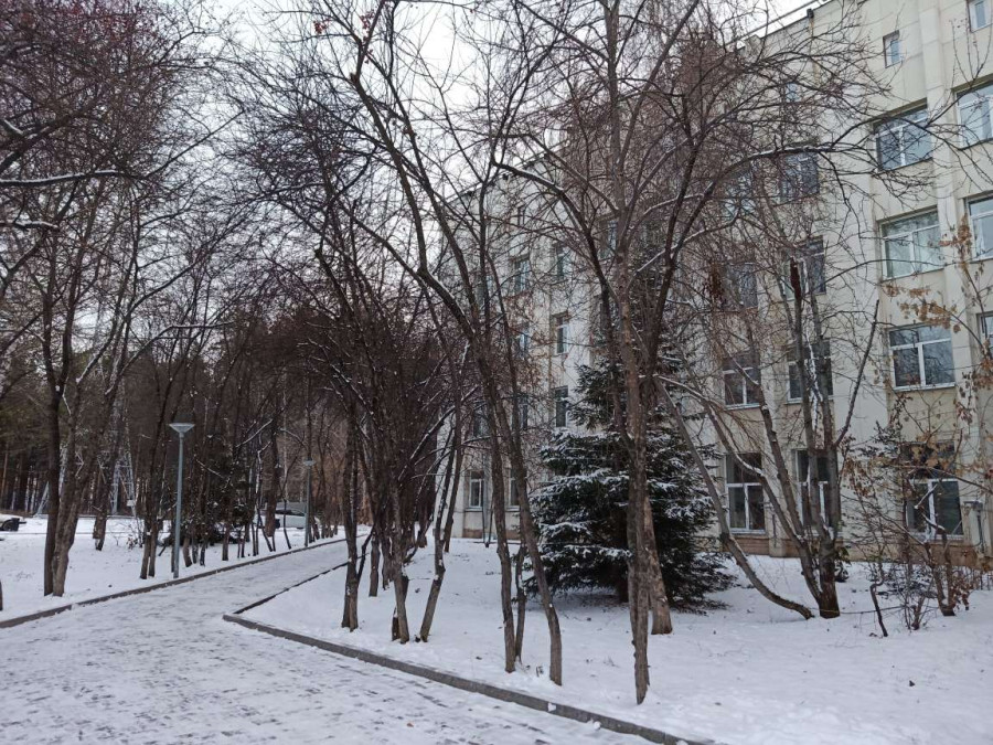 Прогулка после снегопада возле СФУ в Красноярске - свежие новости на Toplenta по теме истории из жизни