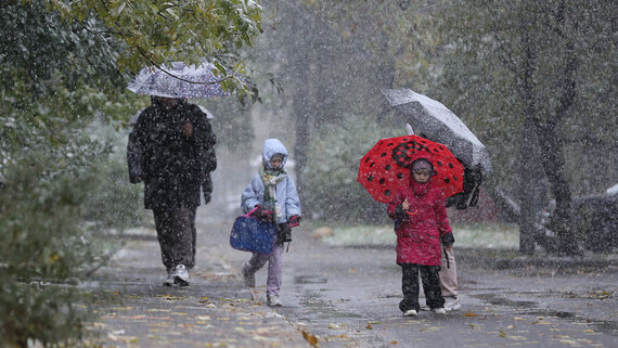 Количество многодетных семей в России увеличилось более чем на 8% в 2025 году - свежие новости на Toplenta