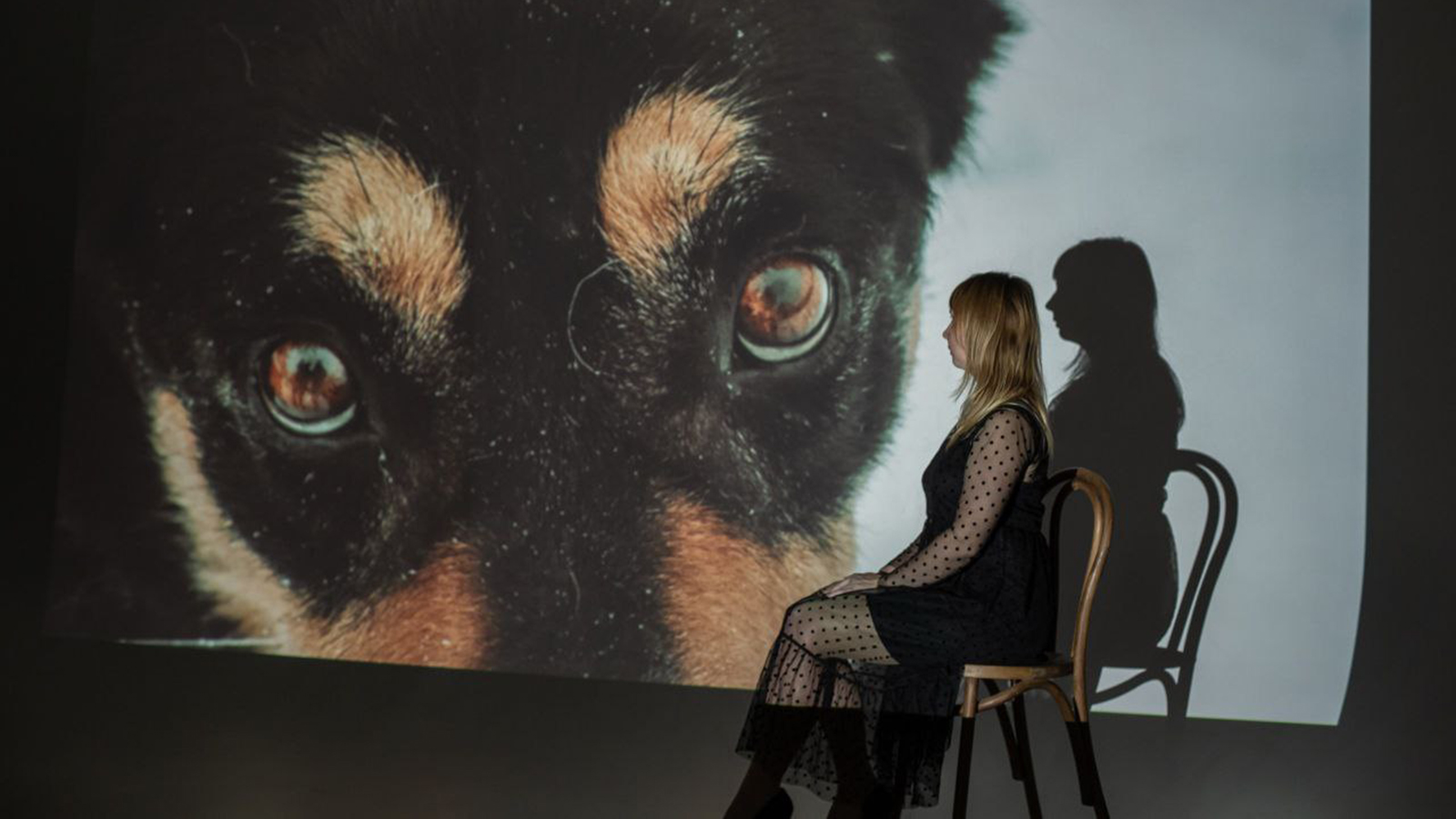 Социальные инициативы недели: борьба с насилием и проекты в поддержку особенных животных и детей - похожая новость на Toplenta