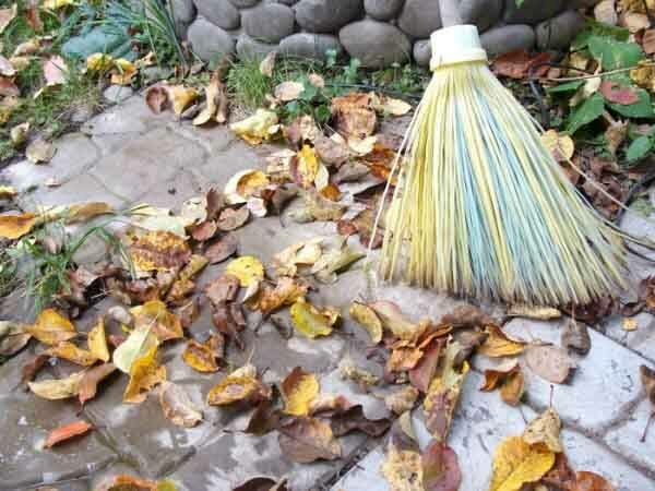 Реальные случаи «воскрешения» из мёртвых: истории людей, вернувшихся к жизни - свежие новости на Toplenta по теме э